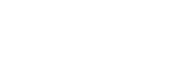 undrawing the portrait